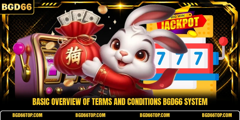 Basic overview of terms and conditions BGD66 system