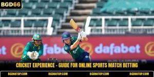 Cricket Experience - Guide For Online Sports Match Betting
