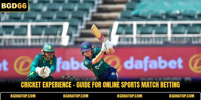 Cricket Experience - Guide For Online Sports Match Betting