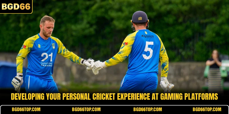 Developing your personal cricket experience at gaming platforms