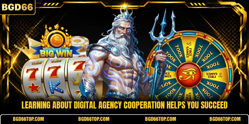 Learning about digital agency cooperation helps you succeed