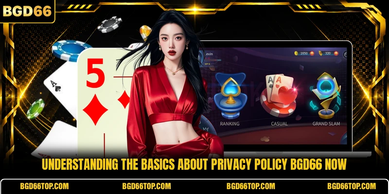 Understanding the basics about privacy policy BGD66 now